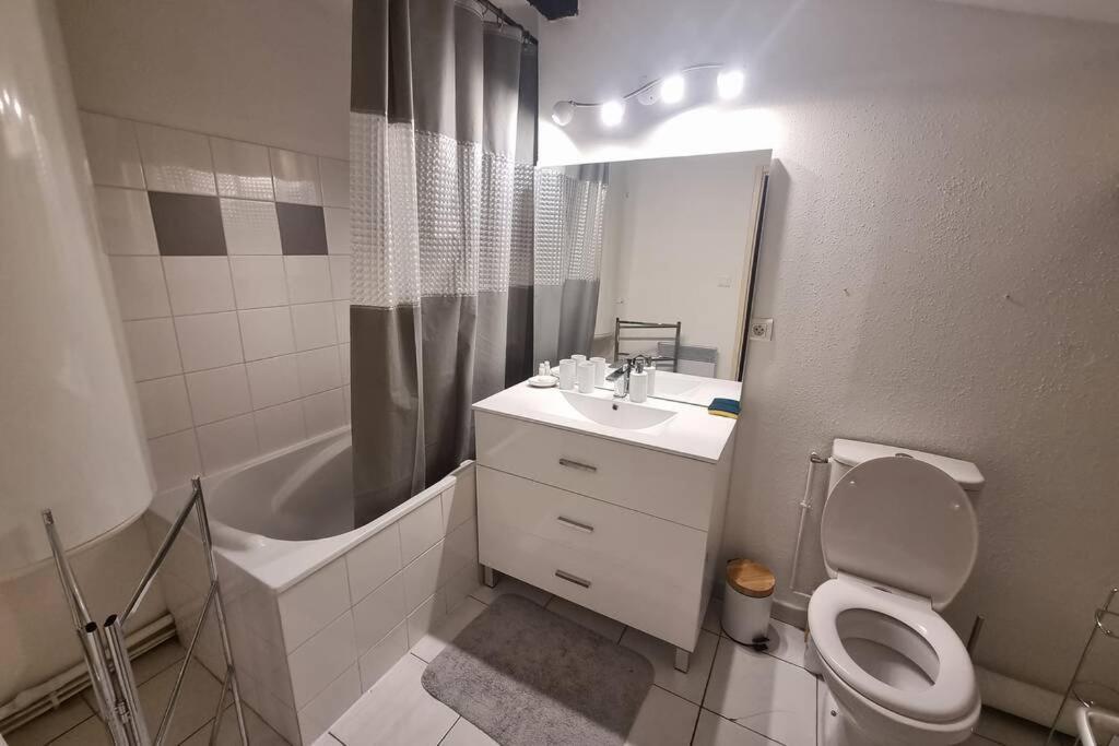 Appartement Exceptionnel 4 Etoiles Hyper Centre Albi 65 M2 Au 4Eme Etage Sans Ascenseur Avec Une Tour Du 12Eme Siecle Eksteriør billede